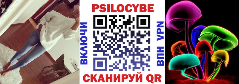 kraken ссылки  Аргун  Псилоцибиновые грибы Cubensis 
