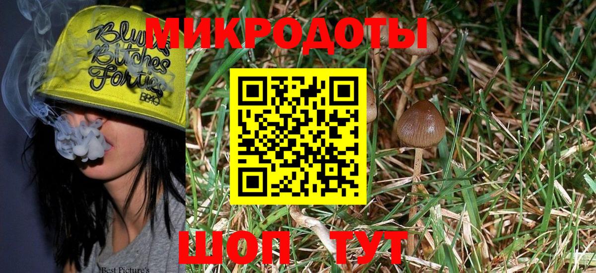 Галлюциногенные грибы Psilocybe  Галлюциногенные грибы мухоморы  Аргун  Вход с VPN 